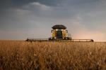 Harvester in field